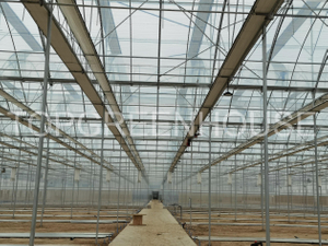 Commercial Plastic Greenhouse