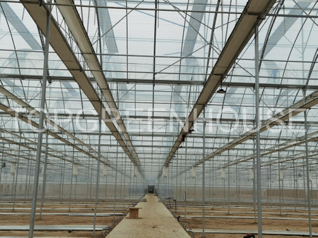 Commercial Plastic Greenhouse