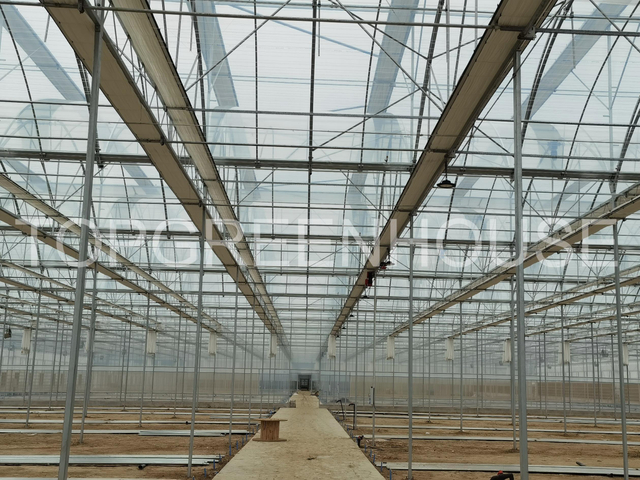 Commercial Plastic Greenhouse