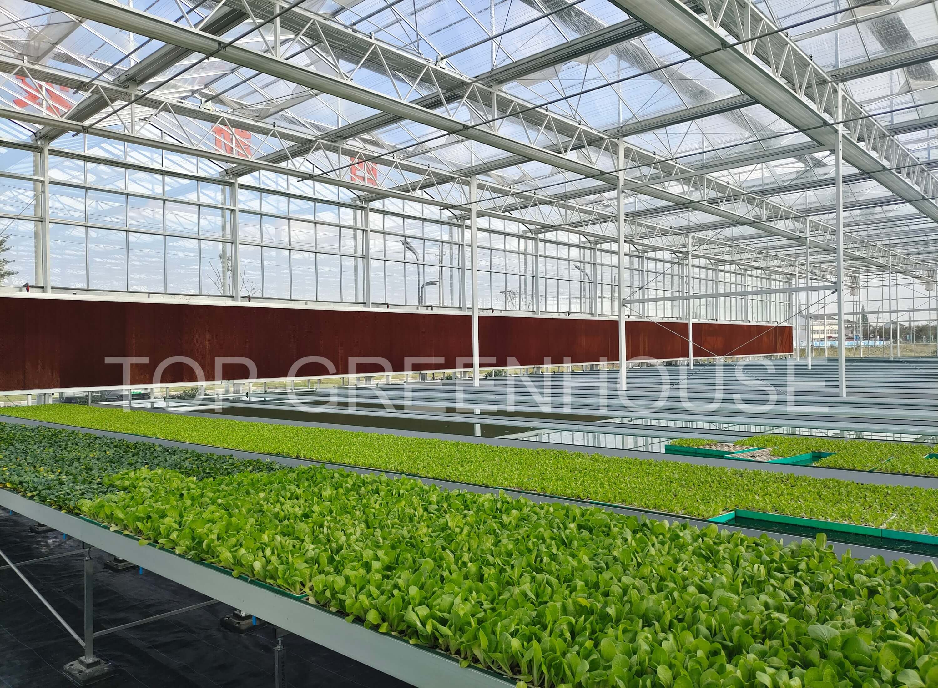 Commercial Greenhouse (1)