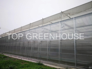 Clear Polycarbonate Greenhouse
