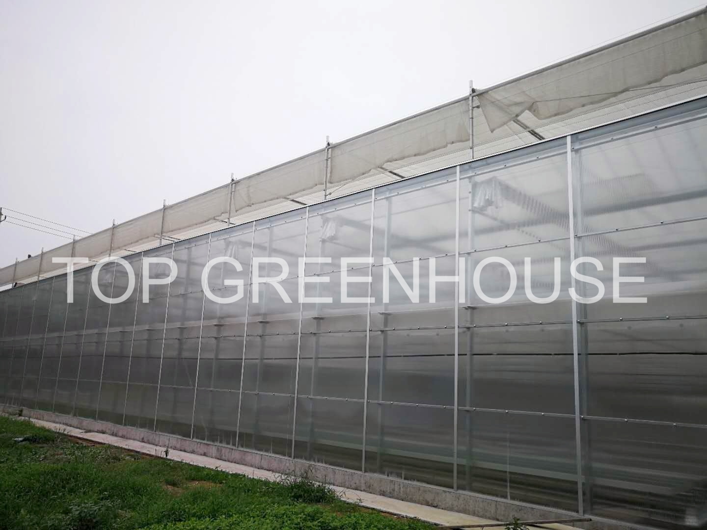 Clear Polycarbonate Greenhouse