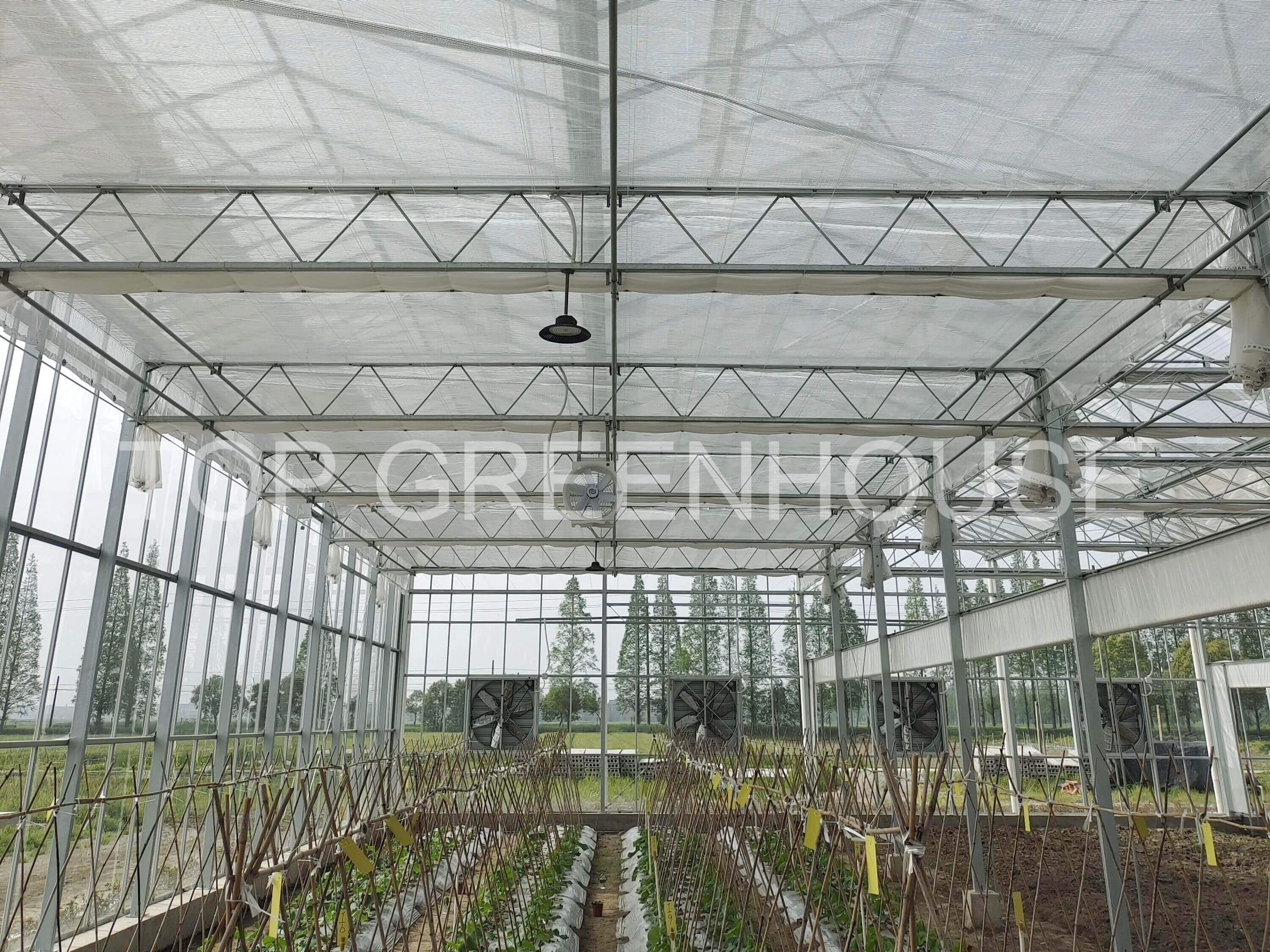Greenhouse Transparent Screen
