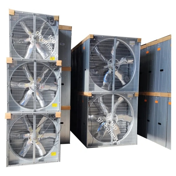 Greenhouse Exhaust Fan for Cooling System
