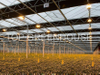Blackout Screen For Light Deprivation Greenhouse