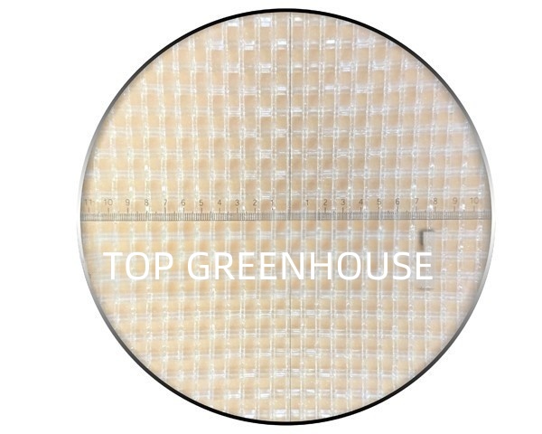 window insect net