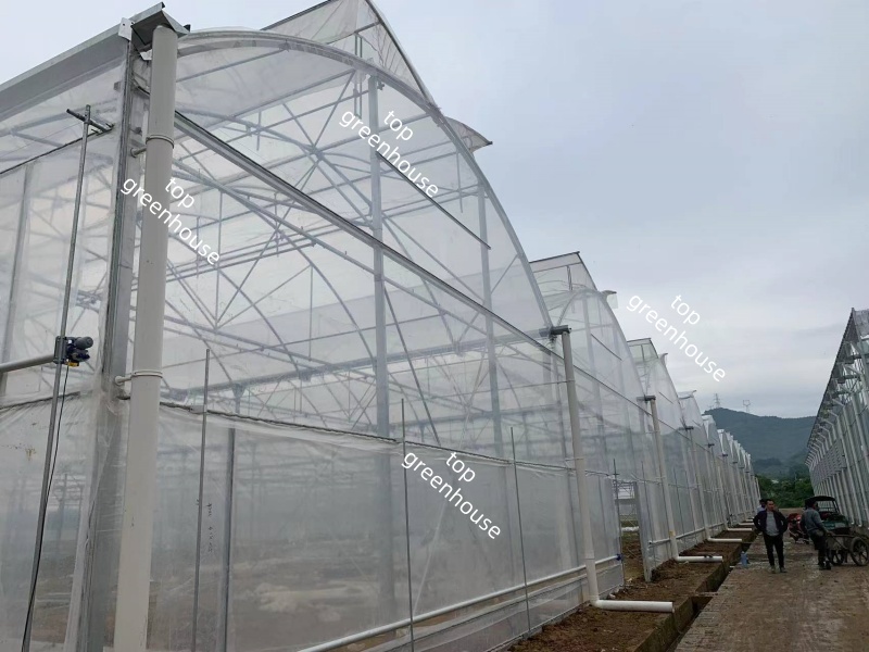 Greenhouse Plastic Film for Covering System