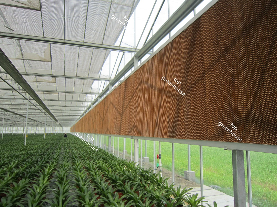 wet curtain pad