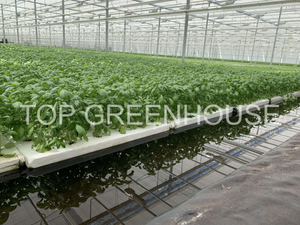 Greenhouse Ebb And Flow Rolling Bench for Growing Plants