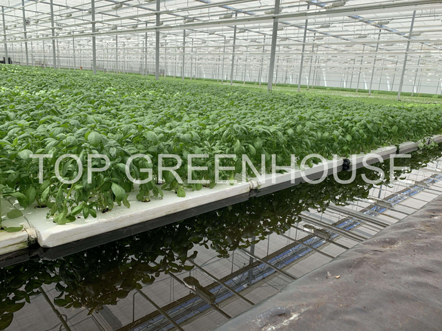 Greenhouse Ebb And Flow Rolling Bench for Growing Plants