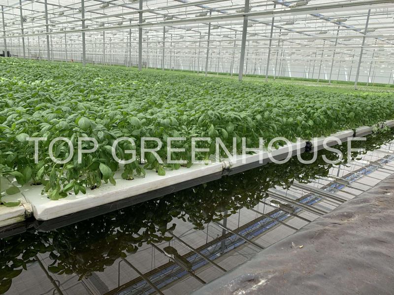 Greenhouse Ebb And Flow Rolling Bench for Growing Plants
