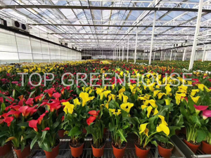 Greenhouse Nursery Rolling Bench