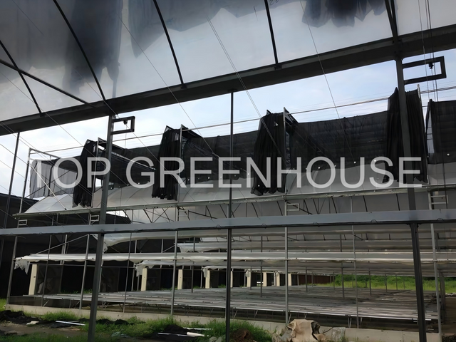 External Black Shade Netting For Greenhouse