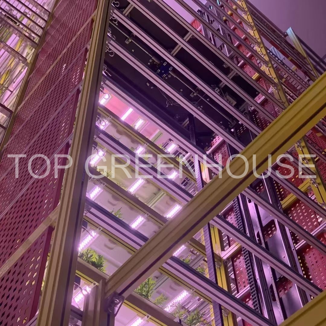 smart greenhouse 5