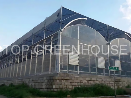 Multispan Poly Tunnel Greenhouse