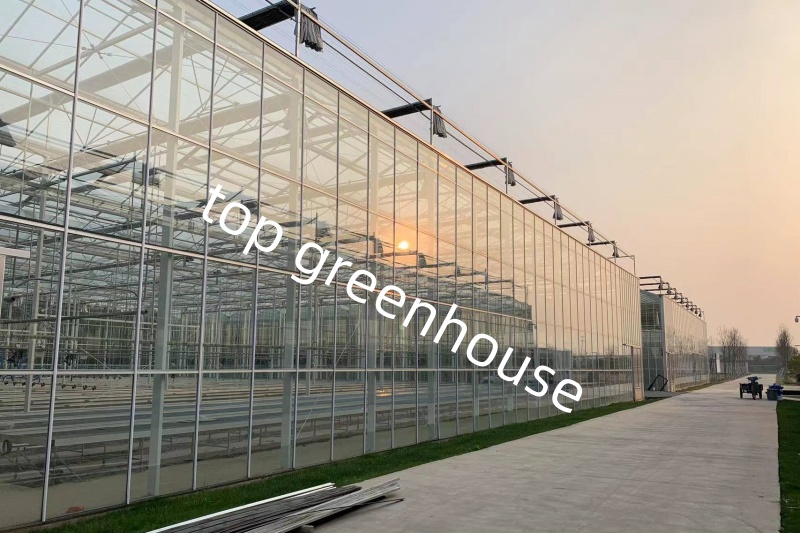 high tech greenhouse 