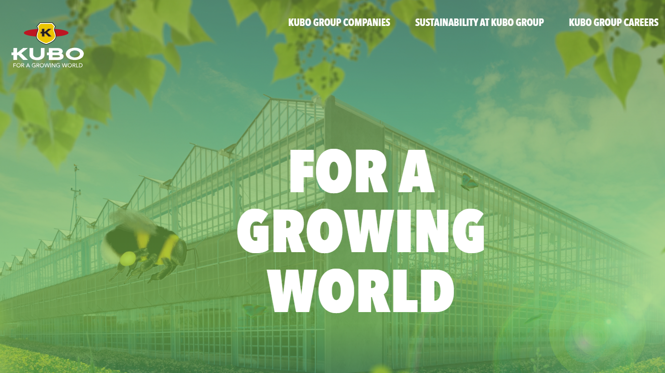 15e1da51d76714f6a058c8550a5a4566