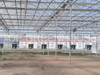 Plastic Commercial Greenhouse 