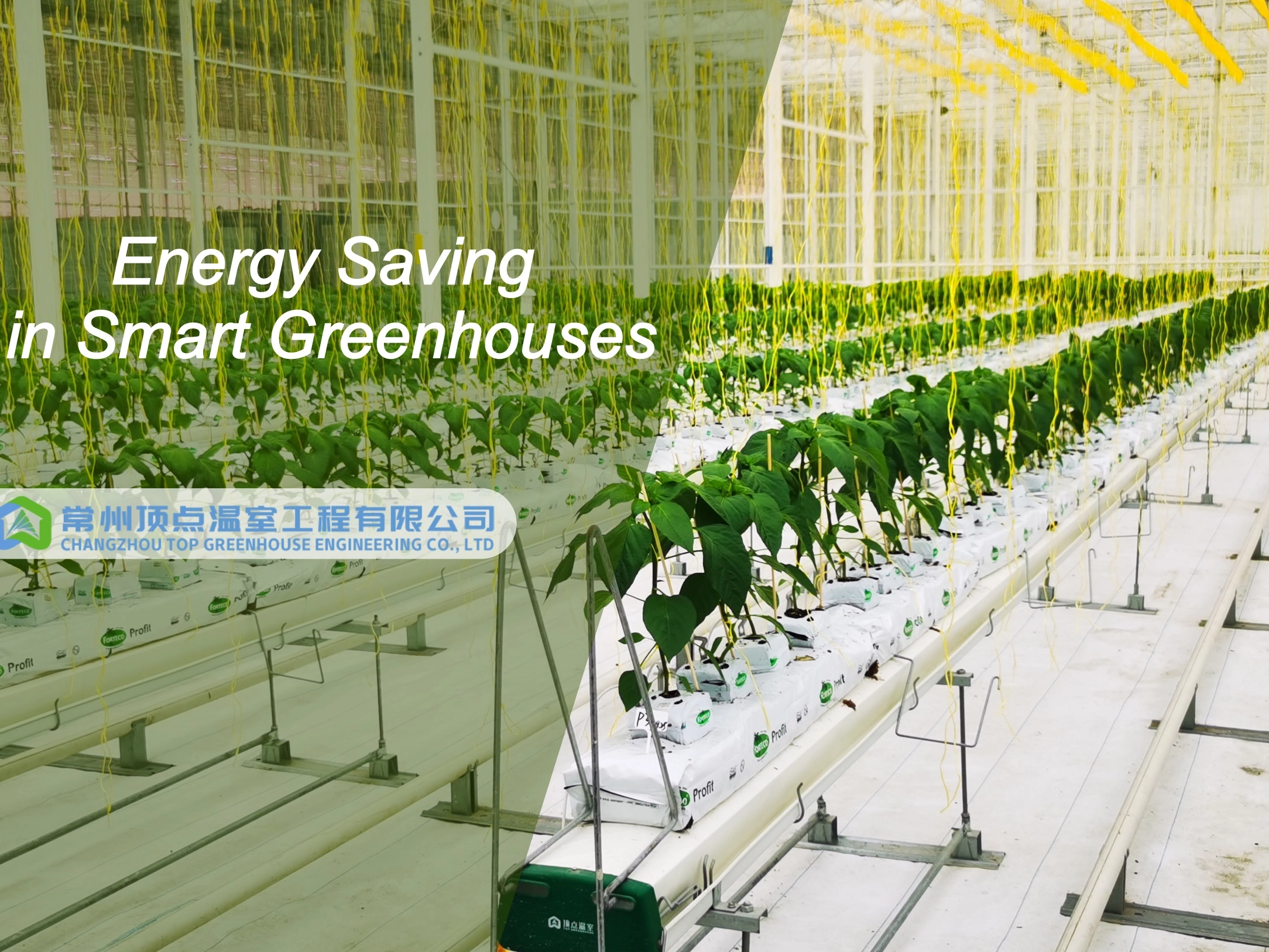 Energy Saving in Smart Greenhouses