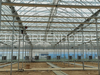 Commercial Plastic Greenhouse