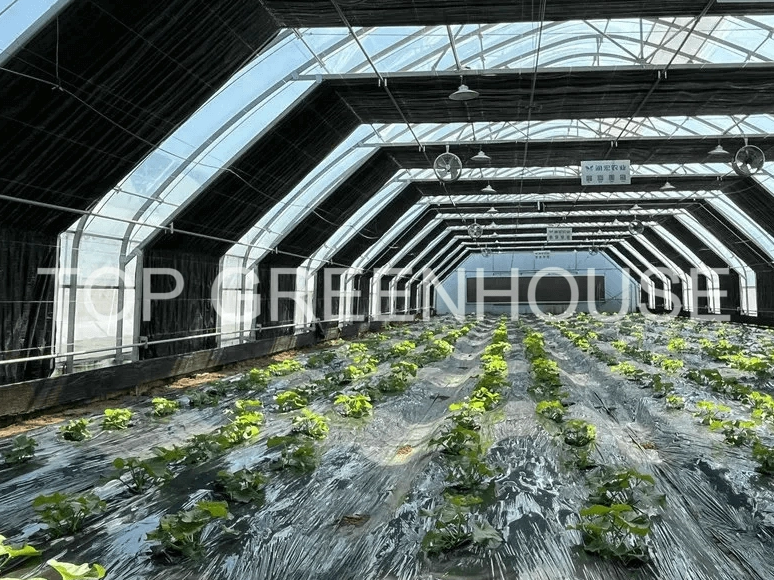 Blackout Screens for Photoperiod-Sensitive Crops