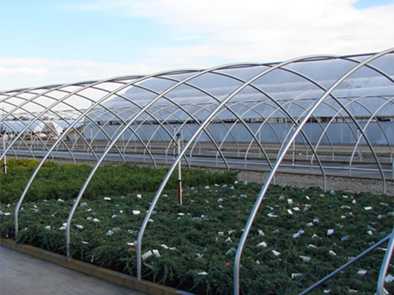 Cold-Frame-Structure