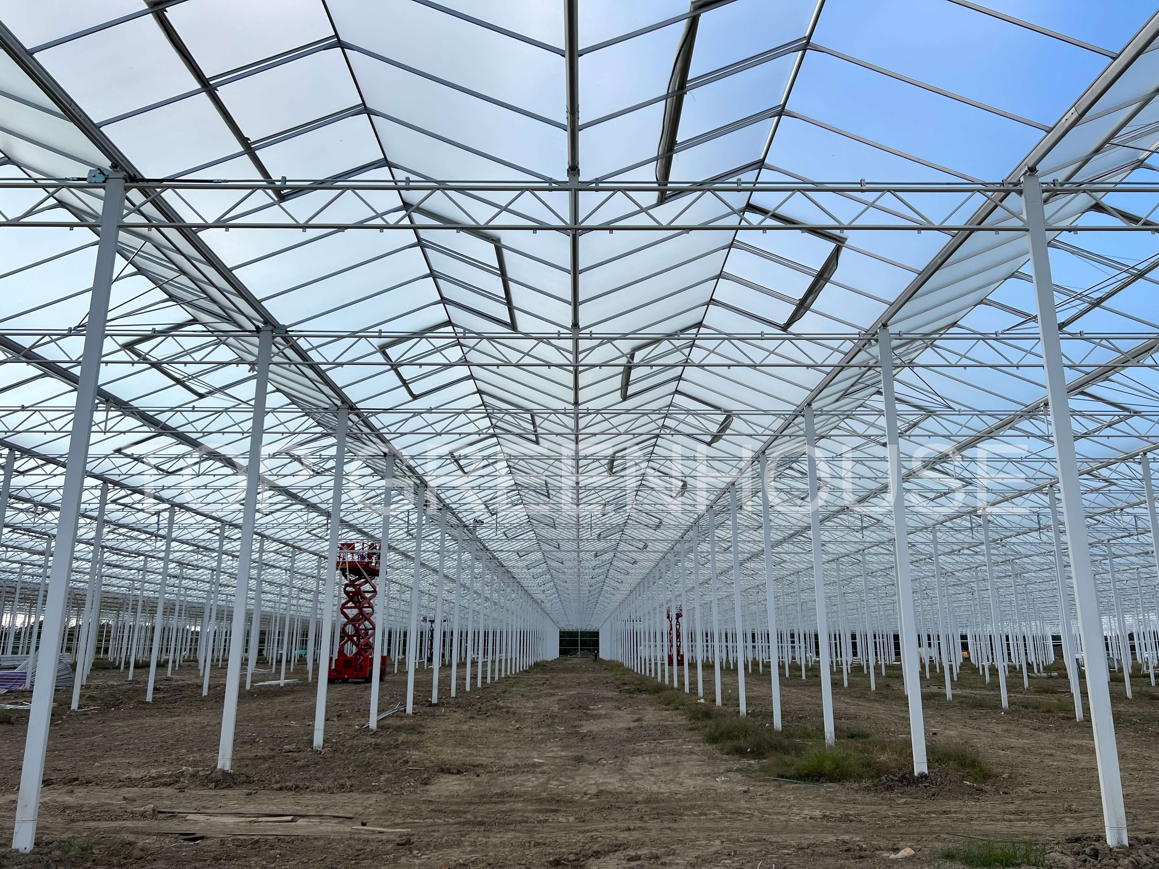 Venlo Glass Greenhouse
