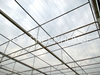 Clear Polycarbonate Greenhouse