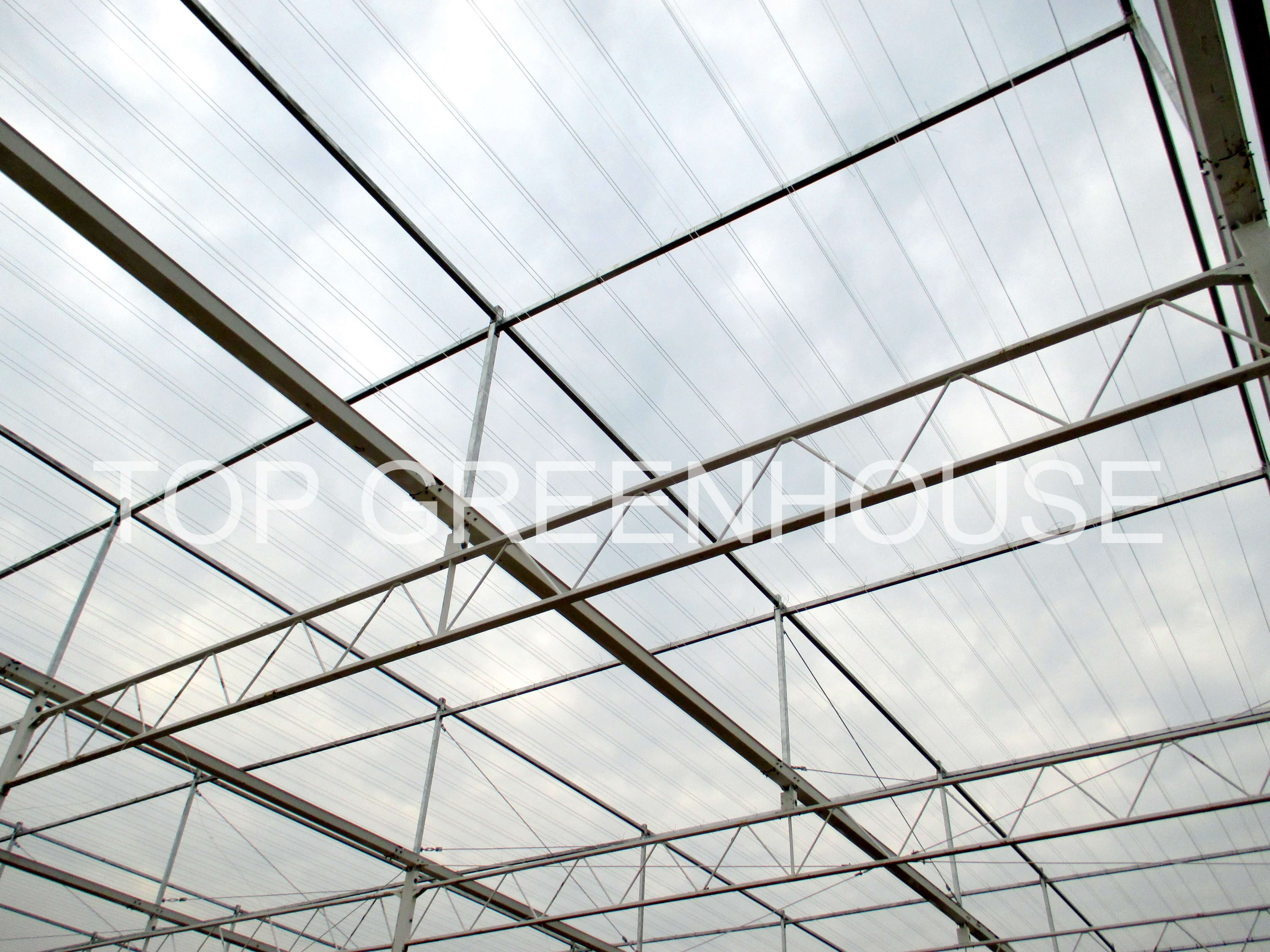 Clear Polycarbonate Greenhouse