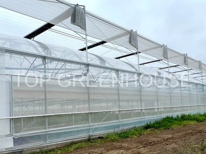 Greenhouse Shading Net3