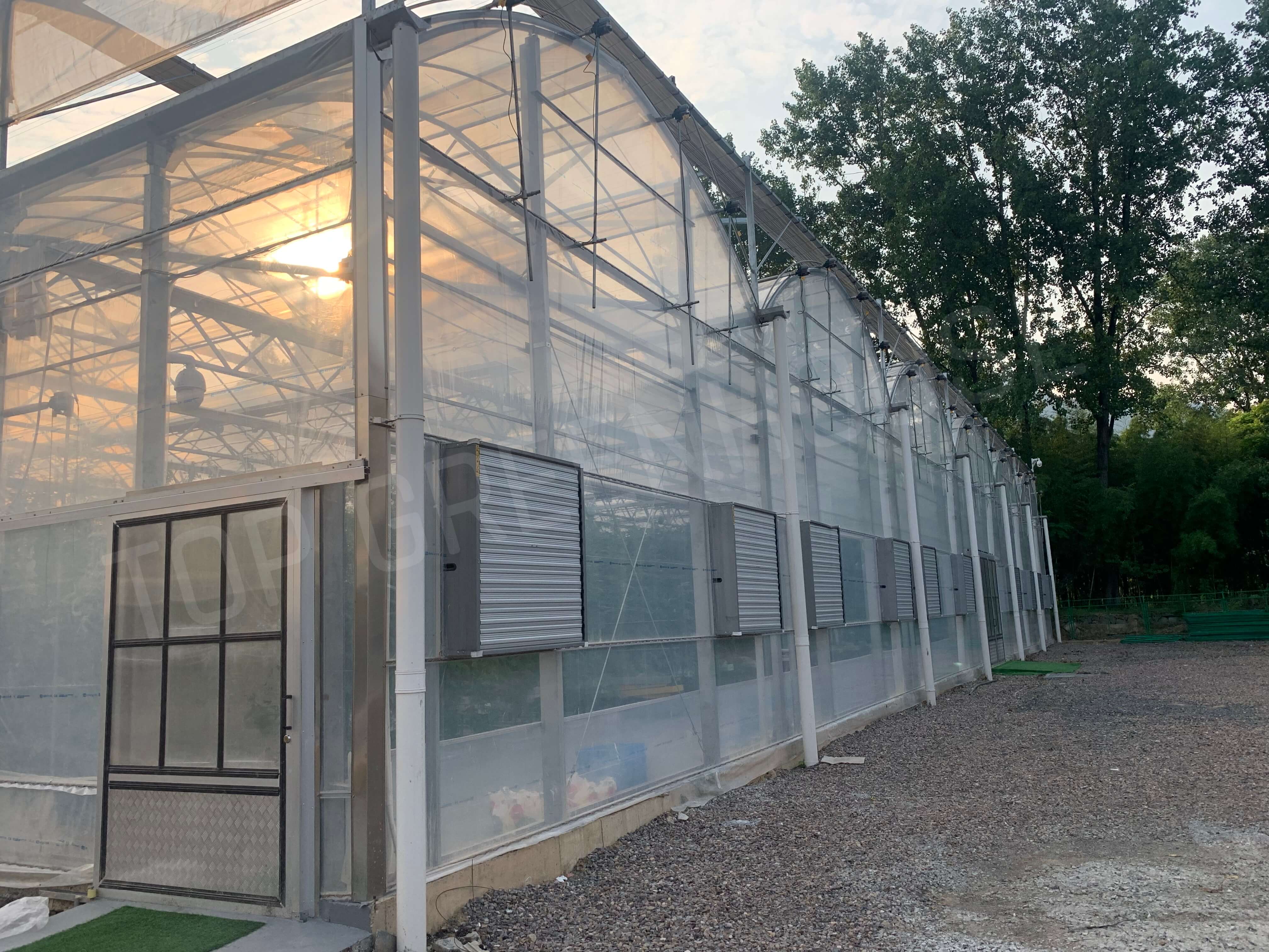 plastic film greenhouse