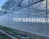 Greenhouse Insect Net