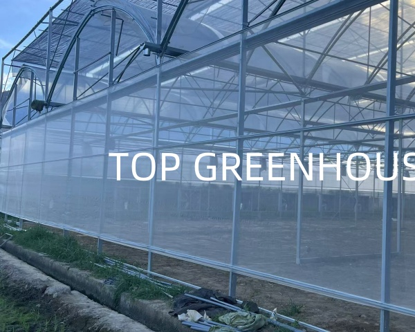 Greenhouse Insect Net