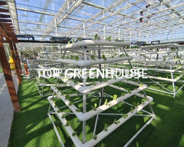 inside aluminum shading net 