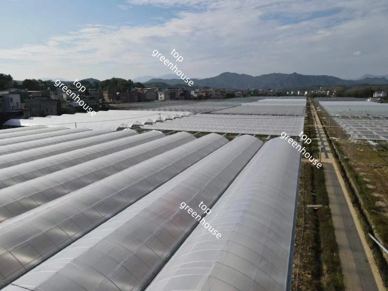 Greenhouse Plastic Film for Covering System