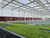 Greenhouse Transparent Screen