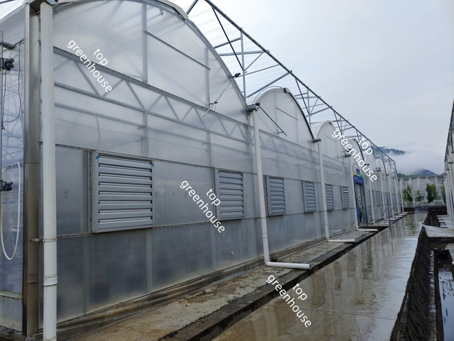 Greenhouse Push Pull Exhaust Fan for Energy Saving