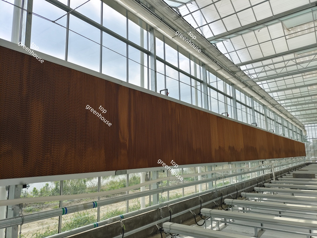 Greenhouse Evaporative Cooling Pad 