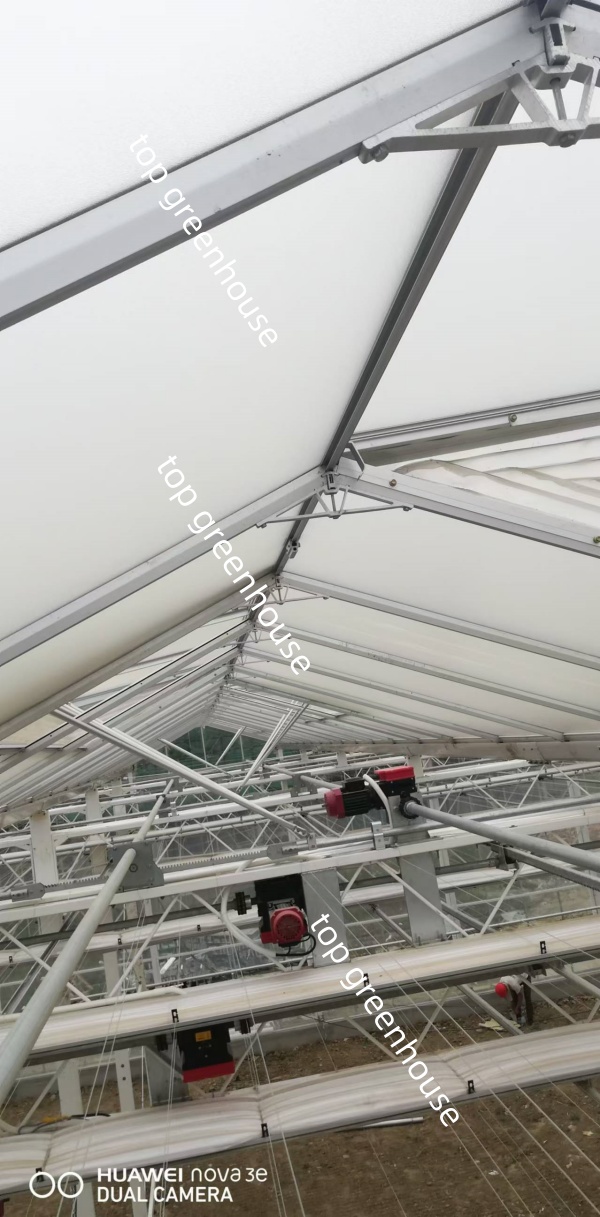 greenhouse gear motor