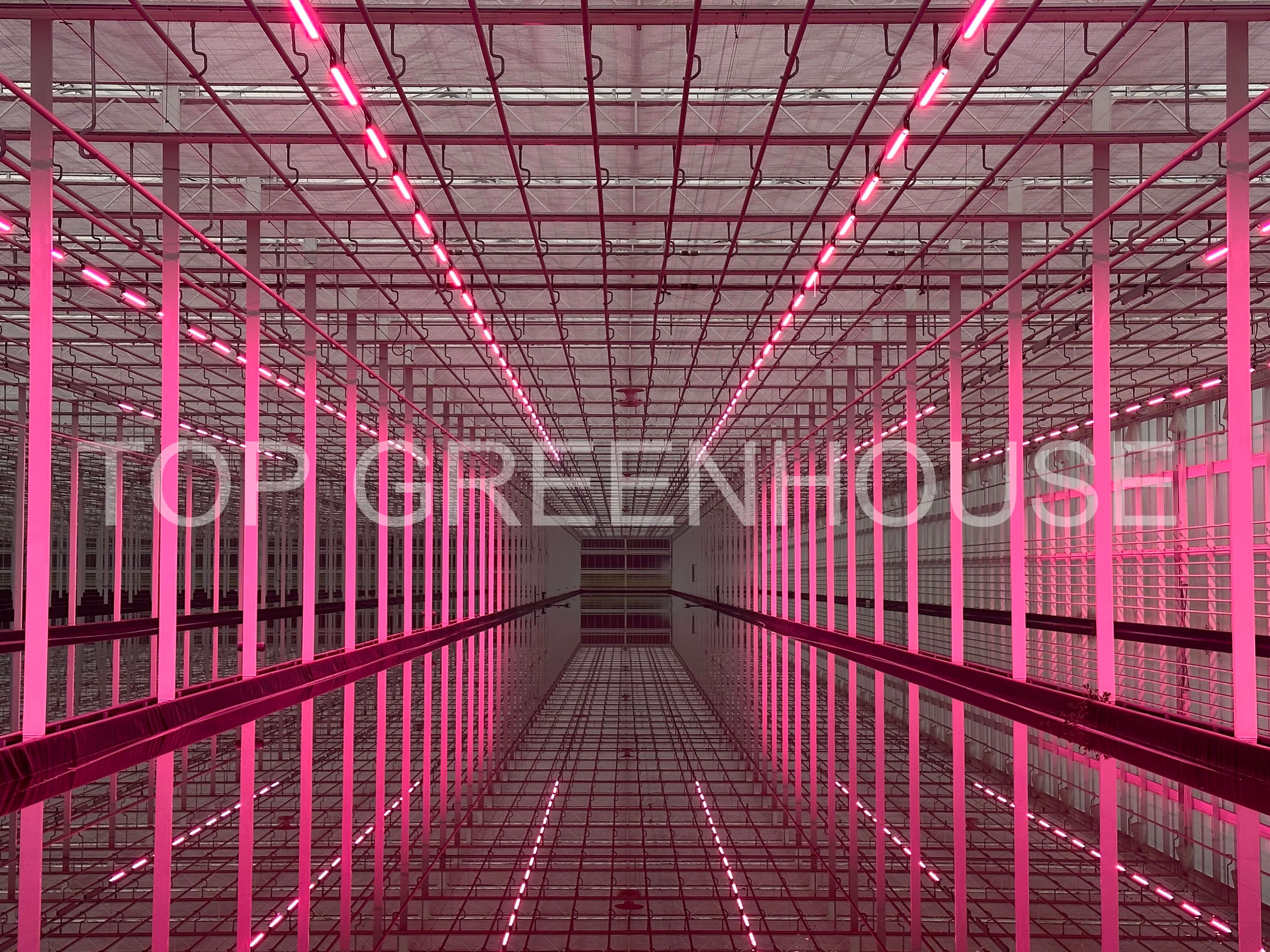 smart greenhouse