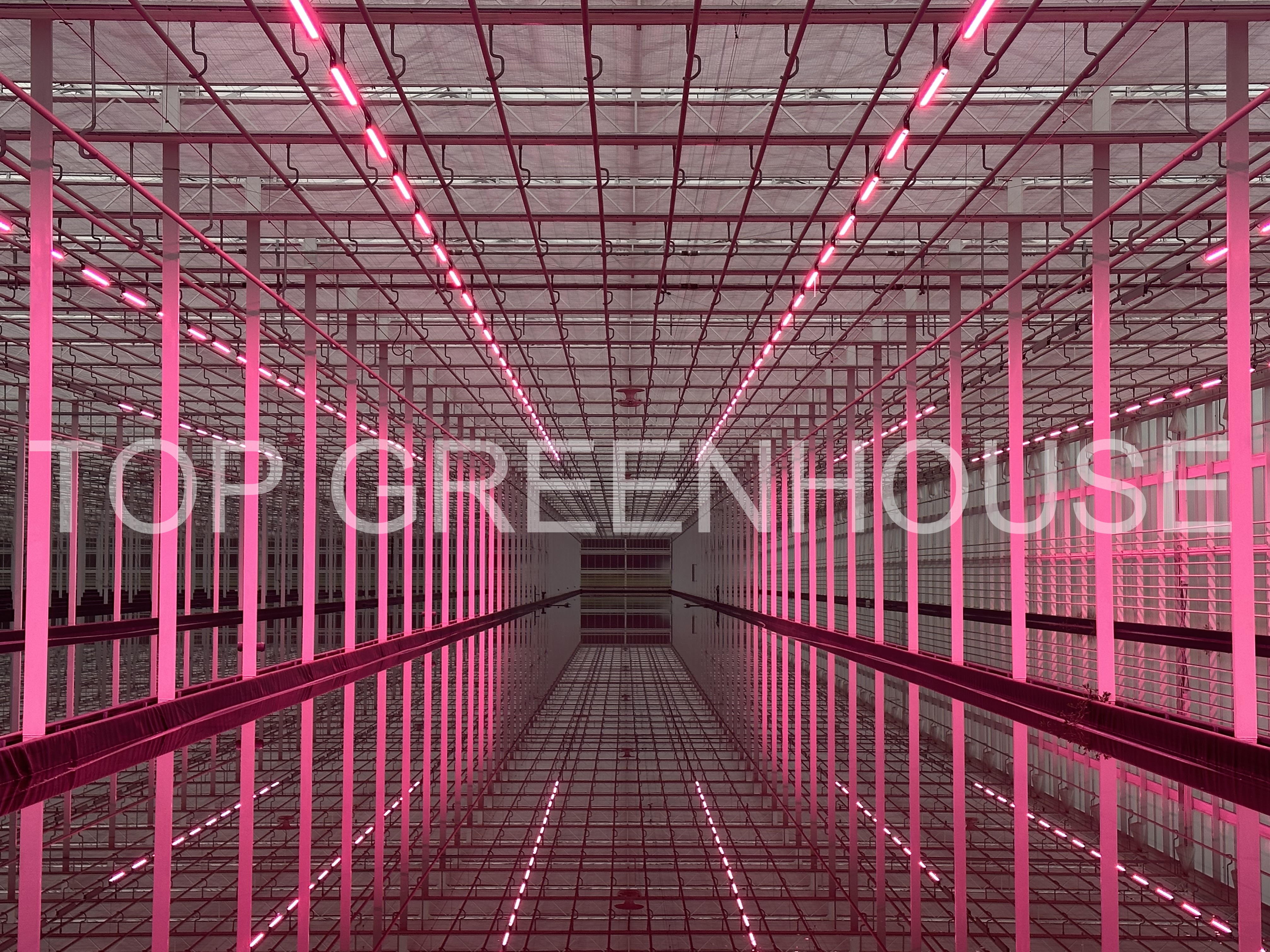 smart greenhouse 3