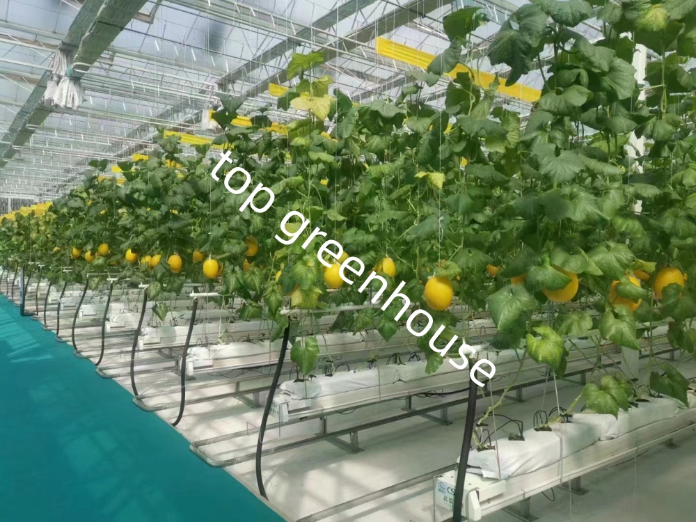 high efficiency greenhouse