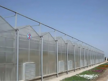 High Quality Polycarbonate Greenhouses for Reliable Growing