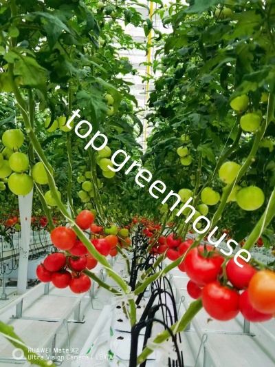 drip irrigation system for glass greenhouse