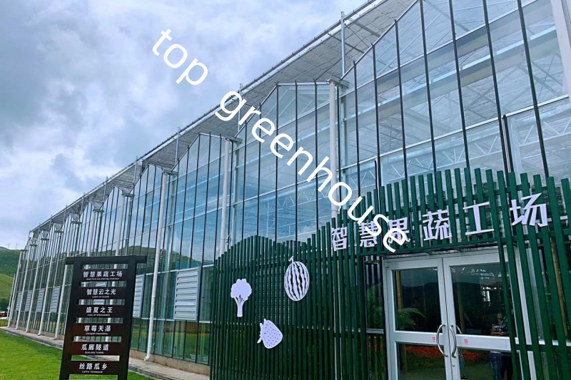high efficiency greenhouse