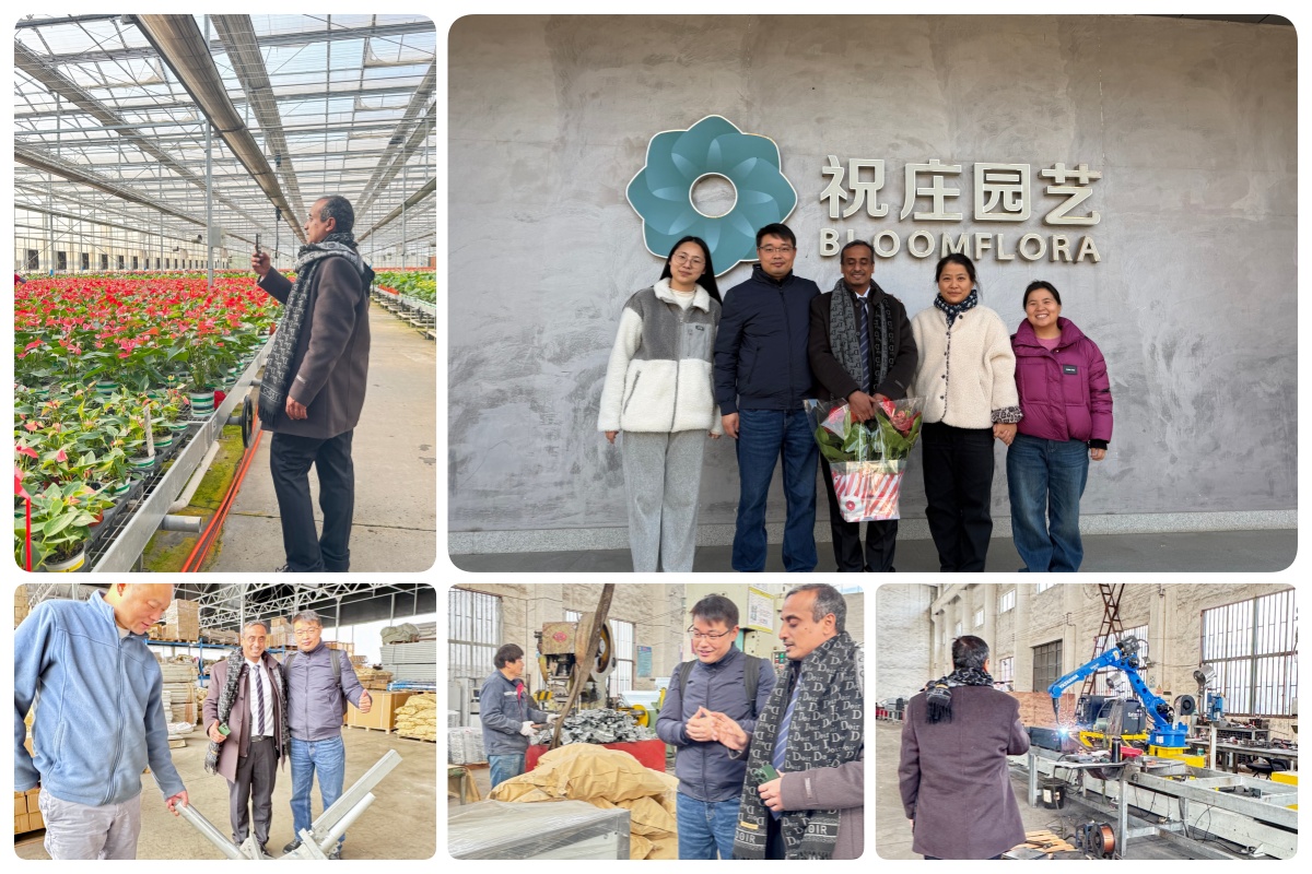  plastic greenhouse case