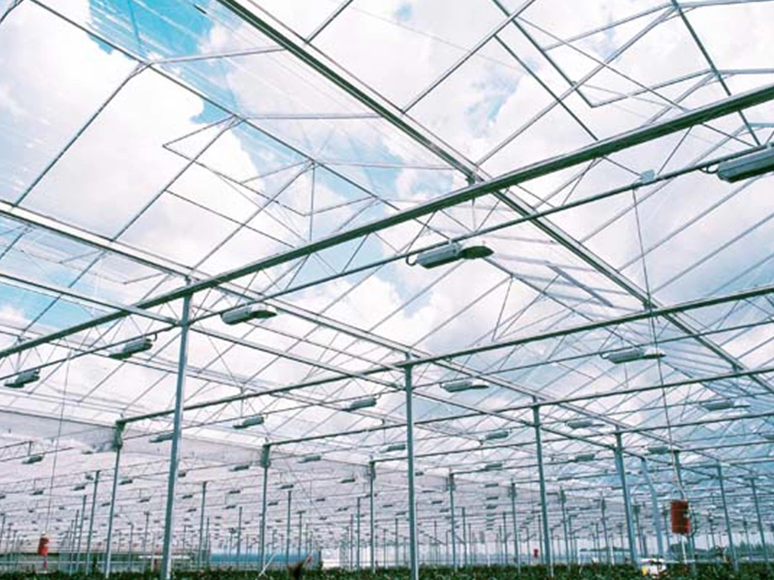 Commercial Greenhouse Design: Structure, Ventilation, Shading, And Cost
