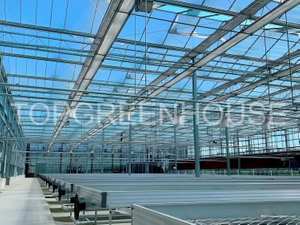 Commercial Venlo Glass Greenhouse for Modern Horticulture