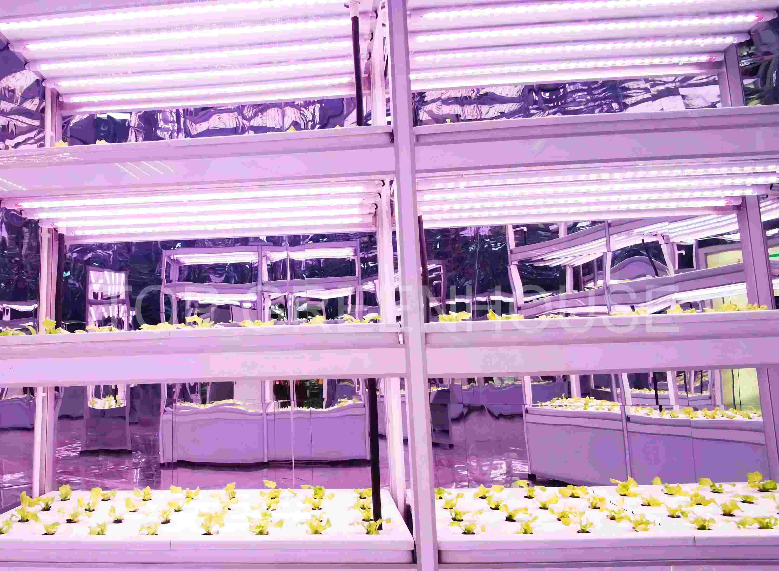 Laboratory Greenhouse(1)(1)