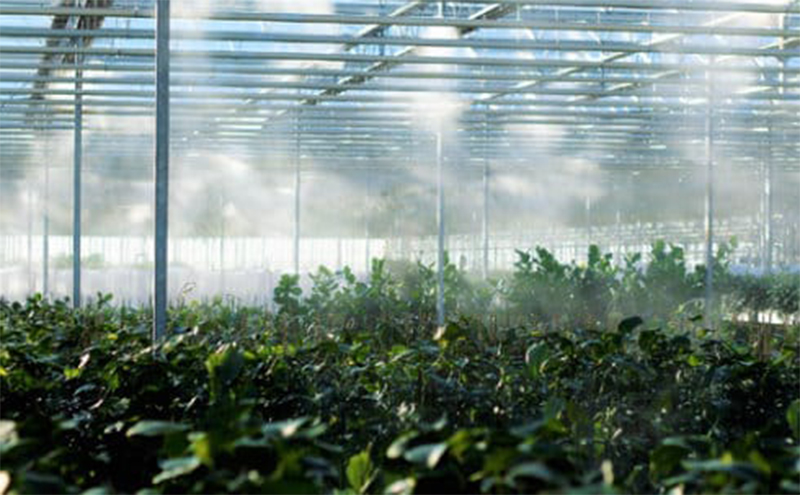 HUMIDIFICATION-&amp;-COOLING
